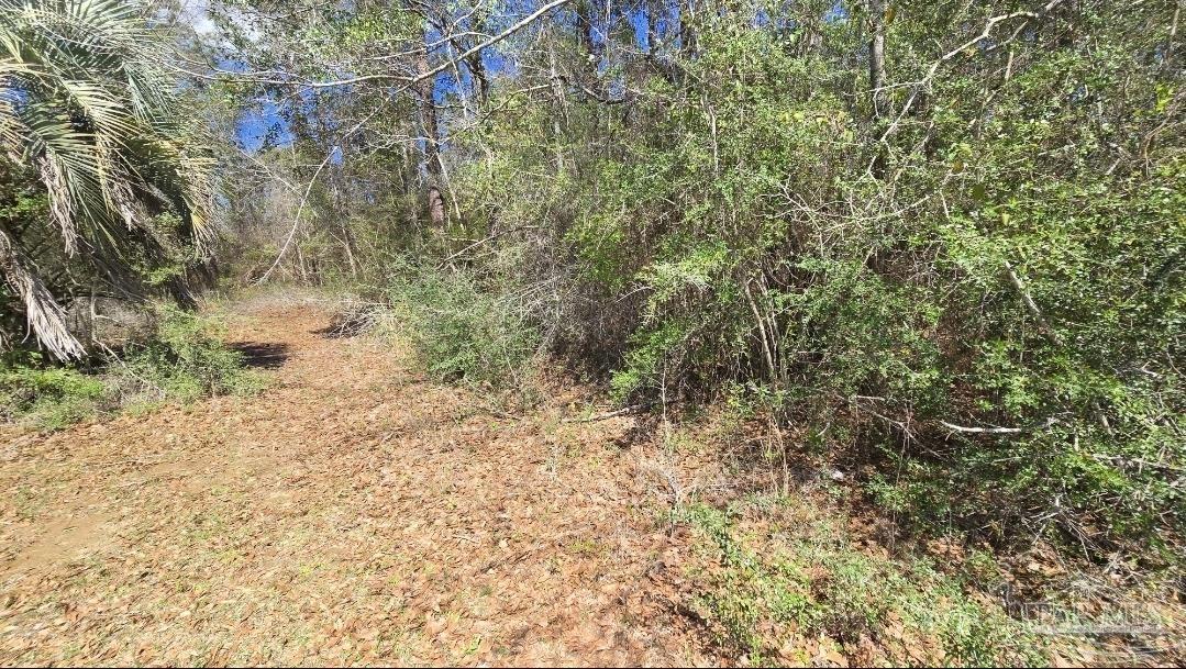 400 Welcome Circle Cantonment, FL 32533 - Photo 3 of 4 a view of a yard with a tree