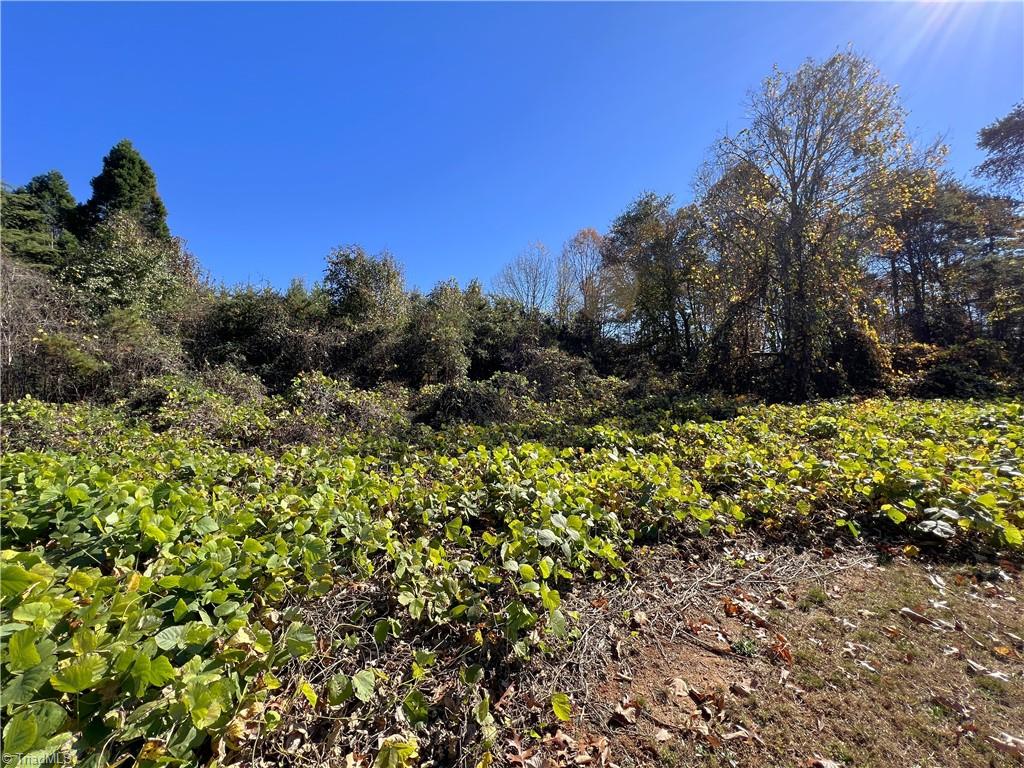 1.23 Ac Ellisboro Road Madison, NC 27025 - Photo 3 of 15 Gallery Image 3