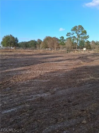 a view of a yard and an ocean view