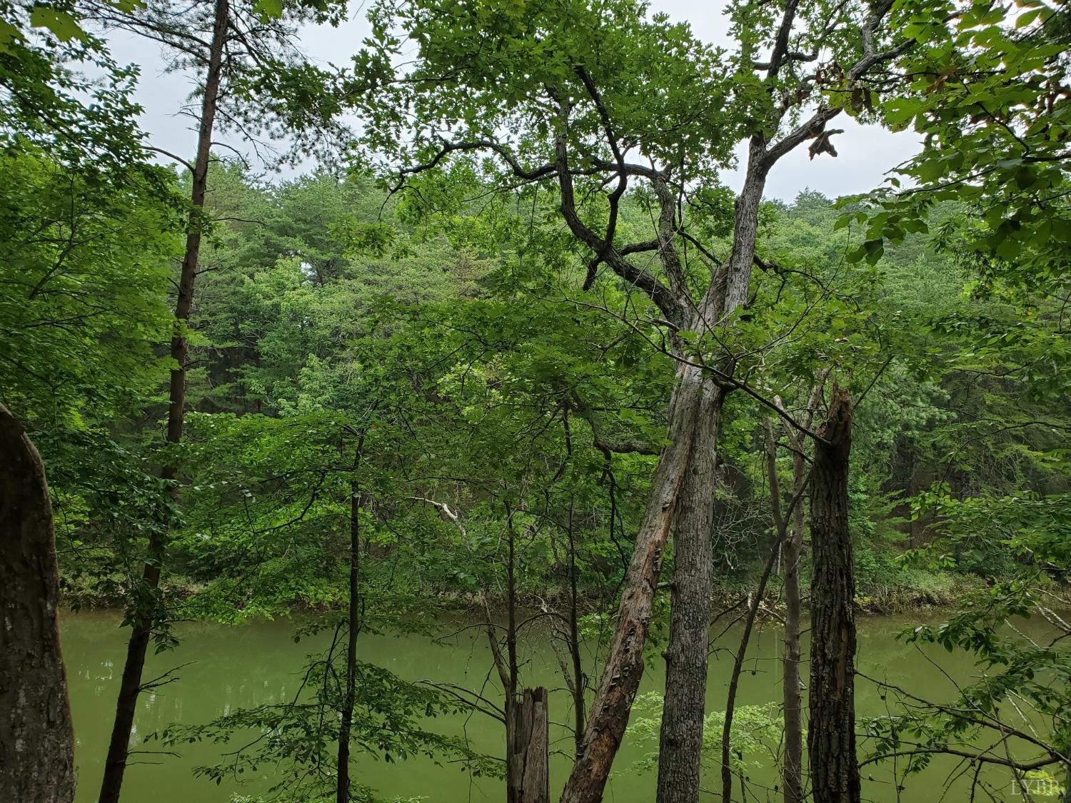 Gallery Image 7