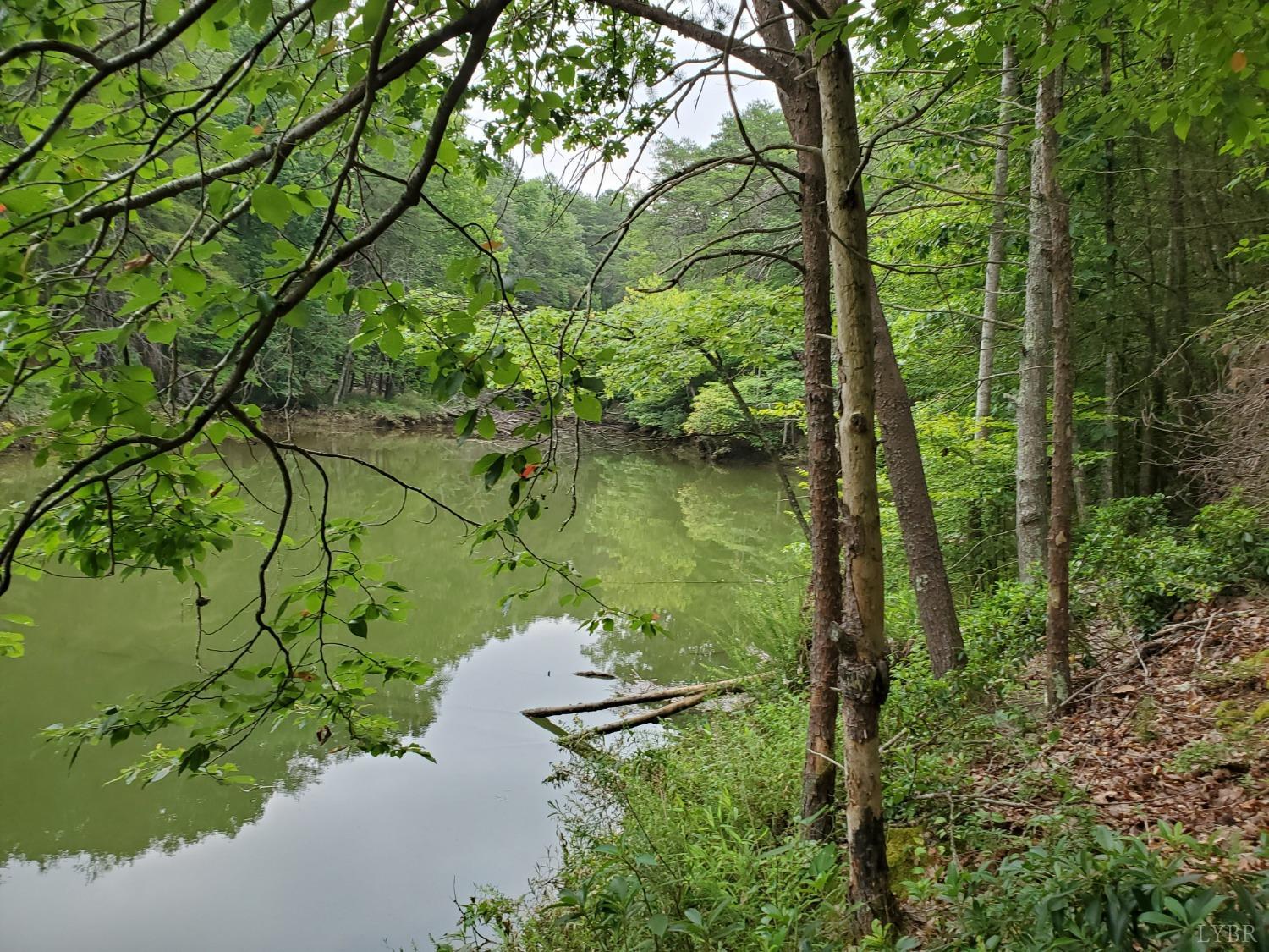 0 Garrison Ridge Pittsville, VA 24139 - Photo 9 of 14 Gallery Image 9