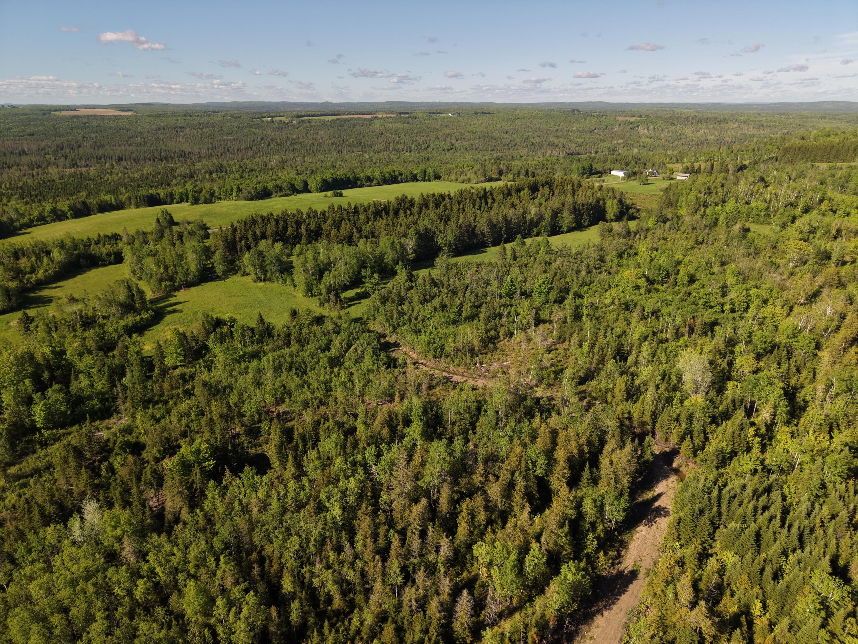 M5-l50d Rista Road New Sweden, ME 04762 - Photo 6 of 39