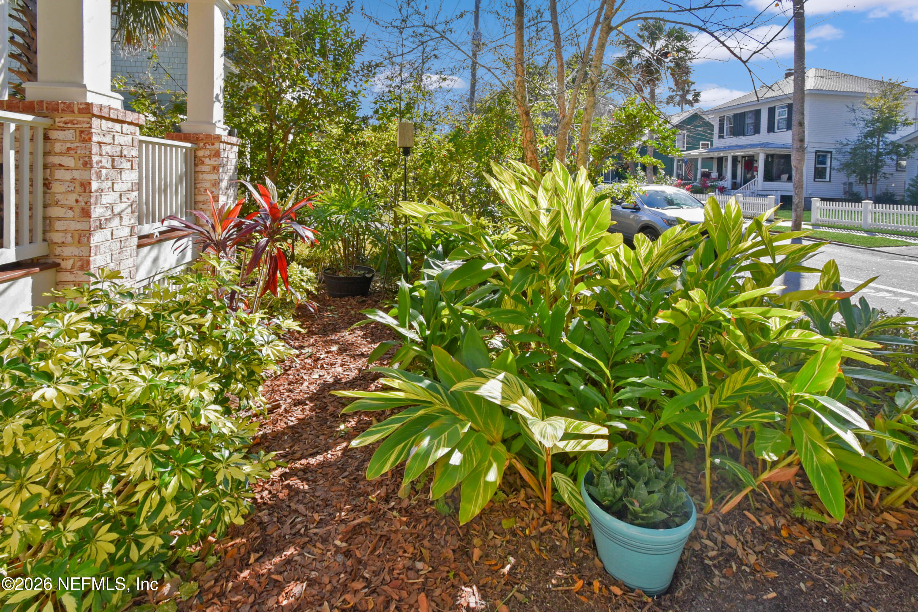 307 St George Street St. Augustine, FL 32084 - Photo 31 of 44 a picture of plants