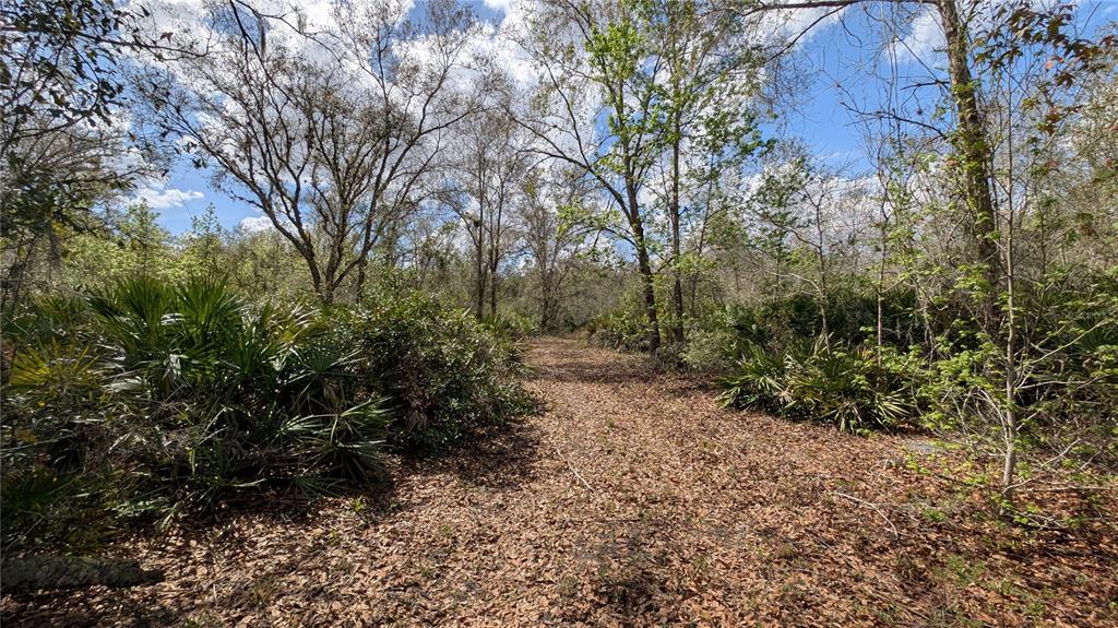 Gillette Road Zolfo Springs, FL 33890 - Photo 22 of 86 Gallery Image 22