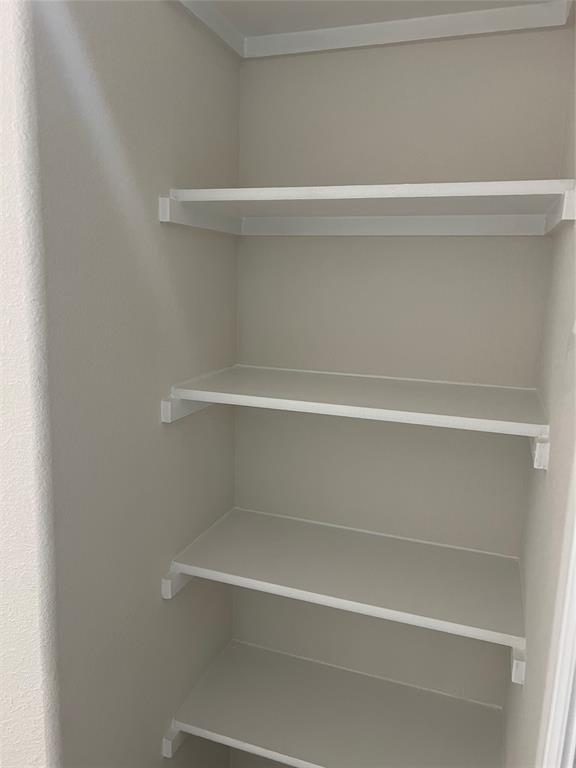 807 Cinnabar Way Princeton, TX 75407 - Photo 12 of 22 a close view of closet