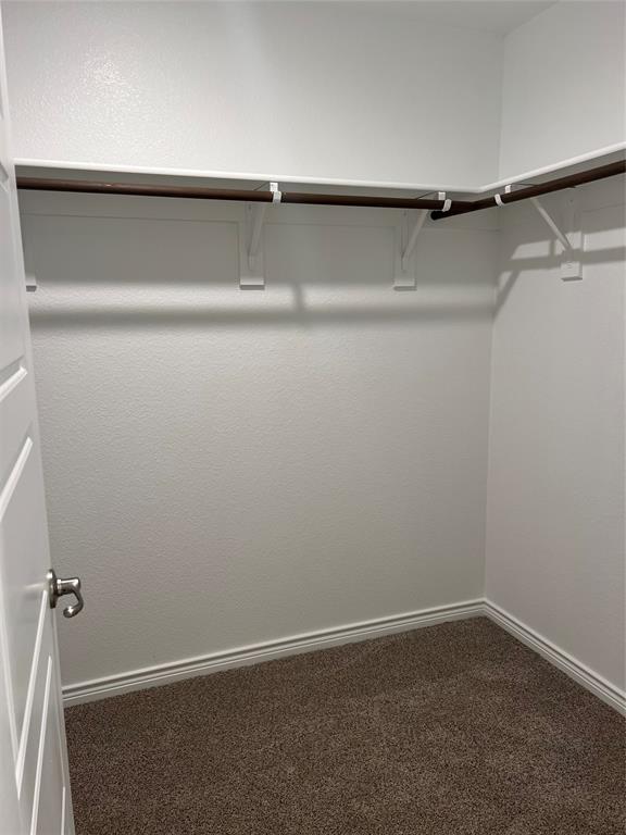 807 Cinnabar Way Princeton, TX 75407 - Photo 19 of 22 a view of a closet with wooden floor