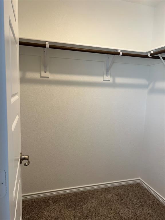 807 Cinnabar Way Princeton, TX 75407 - Photo 10 of 22 a close view of closet