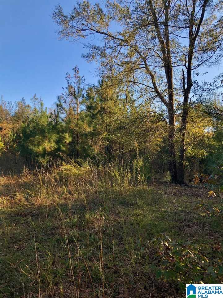 East Mill Road Lineville, AL 36266 - Photo 3 of 9