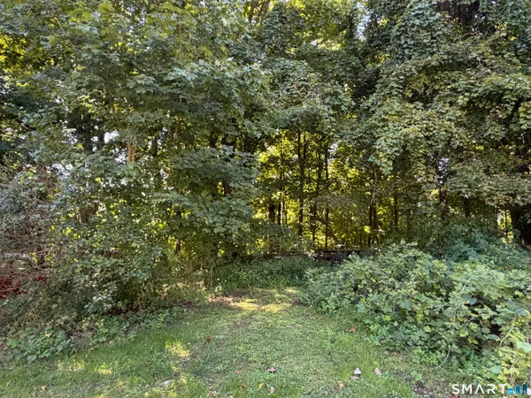 a view of a lush green forest