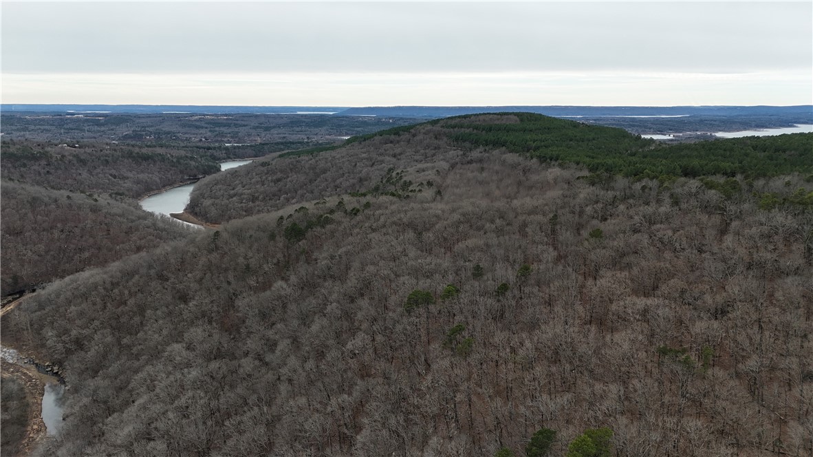0 Old Brewer Road South Edgemont, AR 72044 - Photo 14 of 60 Drone / aerial view of a forest and a large body of water