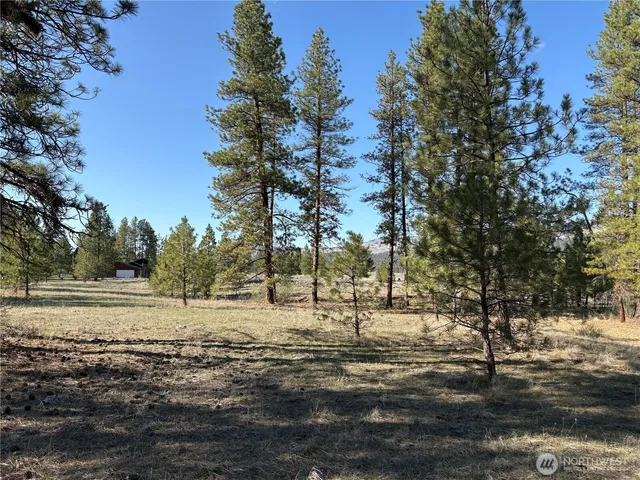 $110,000 | 0 Tamarack Road, Tonasket, WA 98855