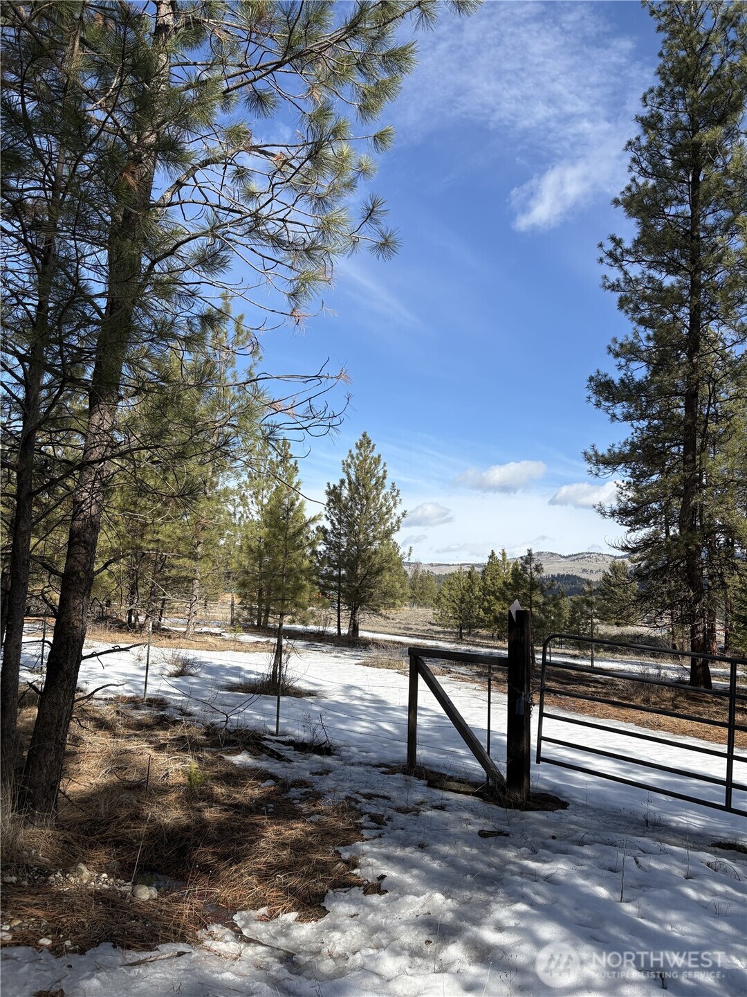 0 Tamarack Road Tonasket, WA 98855 - Photo 11 of 16