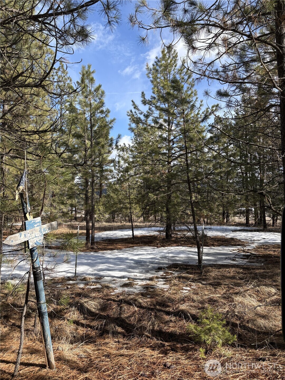 0 Tamarack Road Tonasket, WA 98855 - Photo 13 of 16