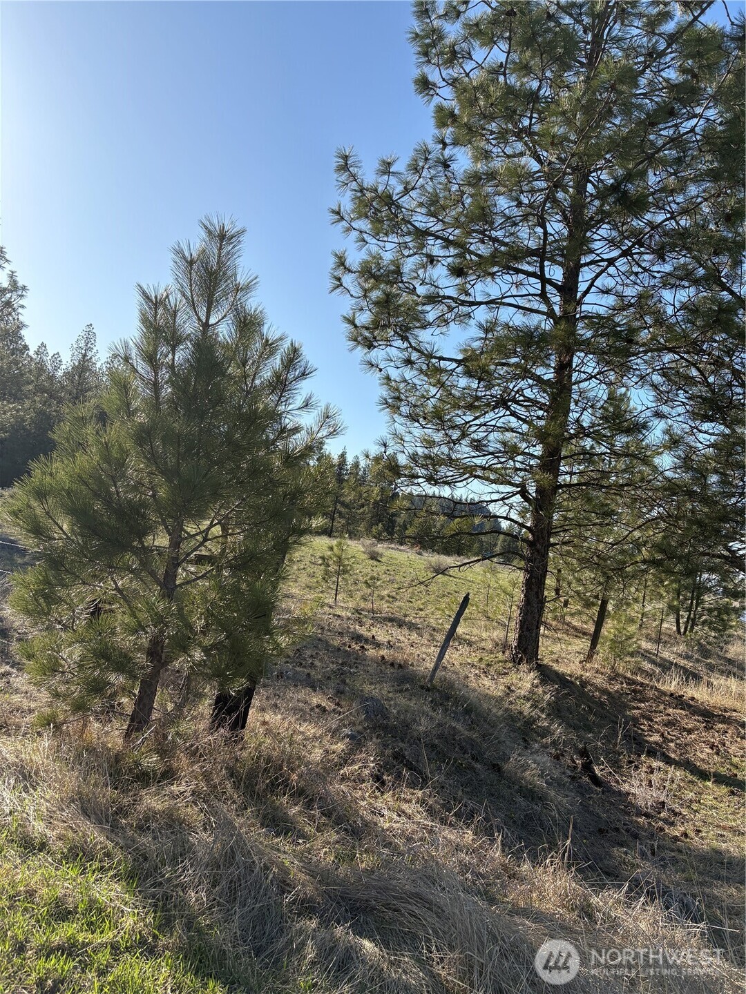 0 Tamarack Road Tonasket, WA 98855 - Photo 16 of 16