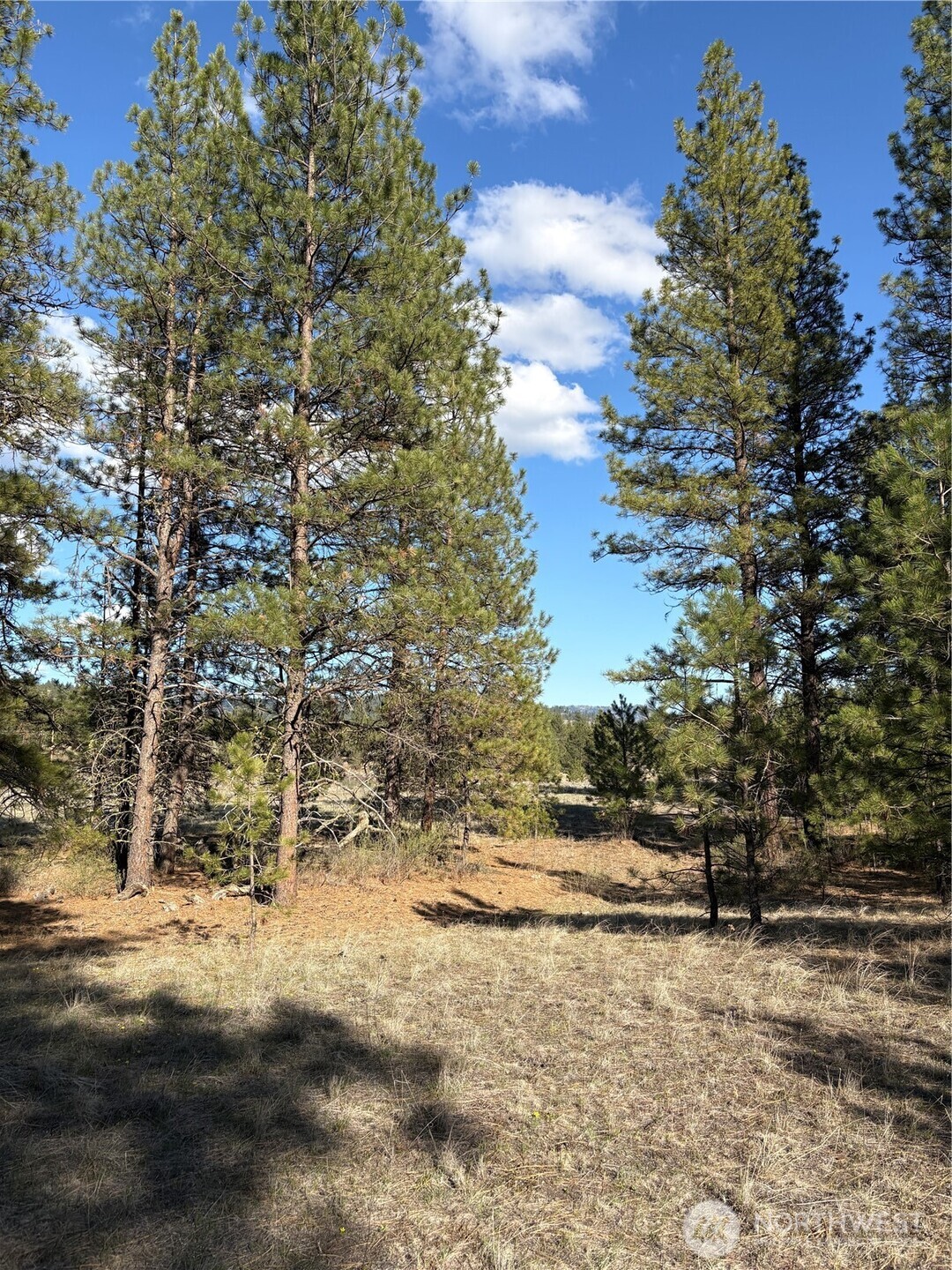 0 Tamarack Road Tonasket, WA 98855 - Photo 2 of 16