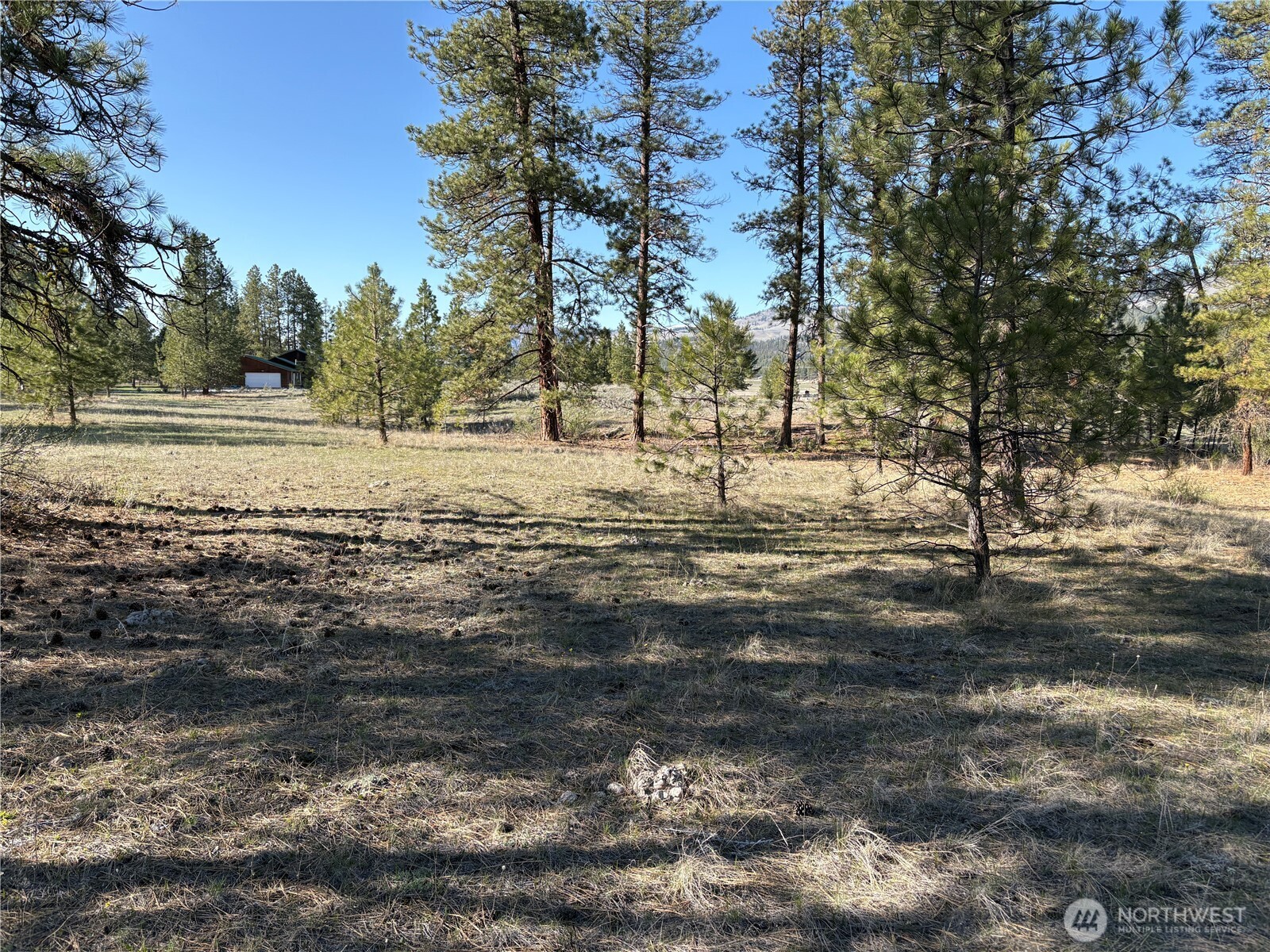 0 Tamarack Road Tonasket, WA 98855 - Photo 4 of 16