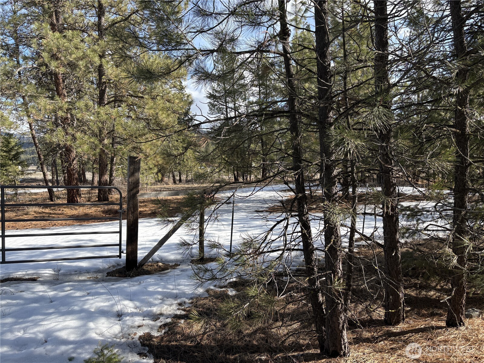 0 Tamarack Road Tonasket, WA 98855 - Photo 6 of 16