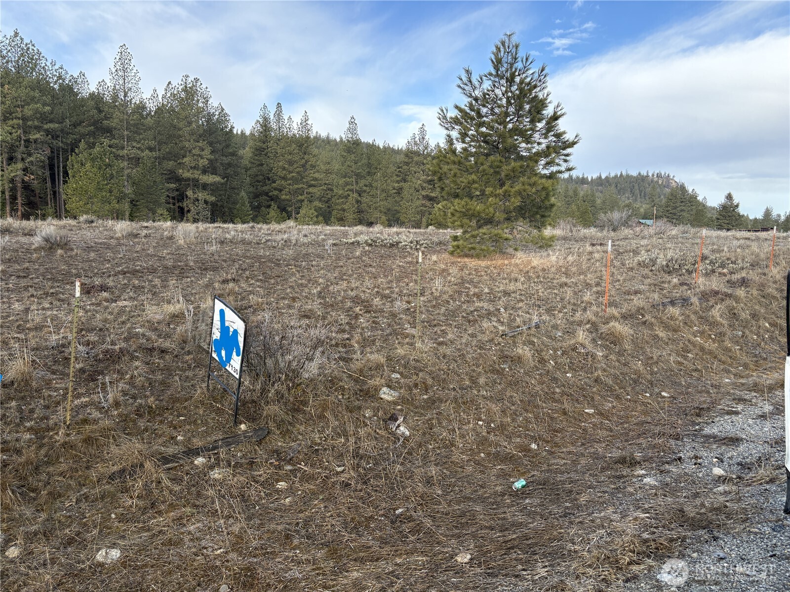 0 Tamarack Road Tonasket, WA 98855 - Photo 8 of 16