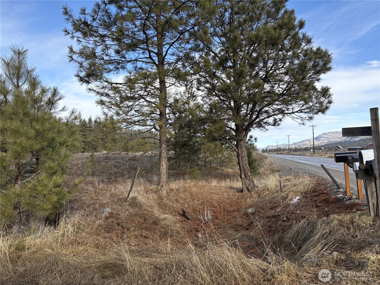 0 Tamarack Road Tonasket, WA 98855 - Photo 9 of 16