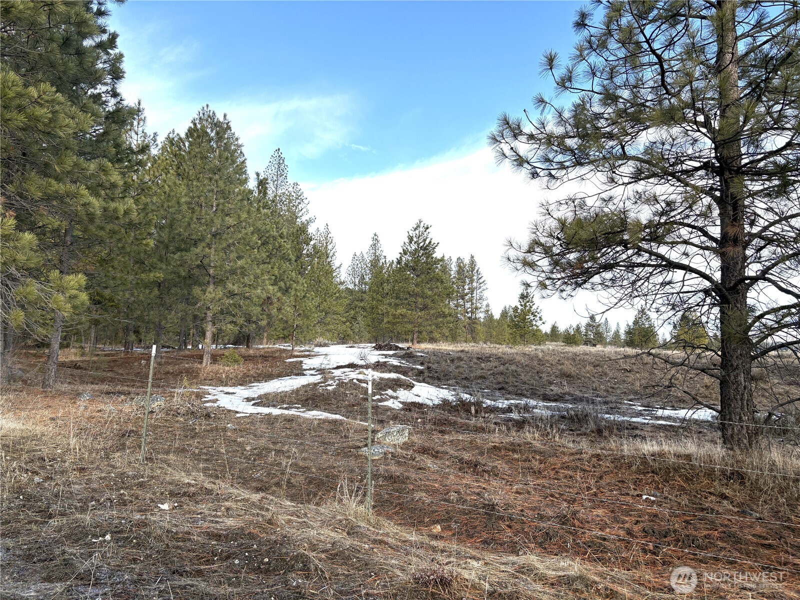 0 Tamarack Road Tonasket, WA 98855 - Photo 10 of 16