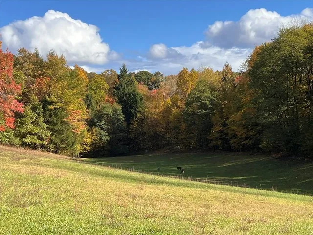a view of swimming pool