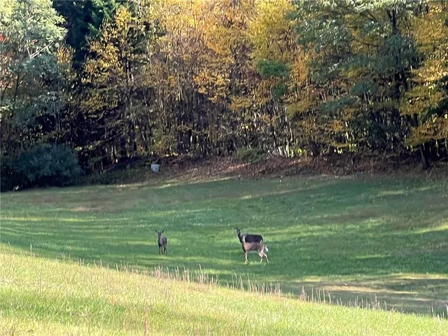 a balcony with table and chairs and potted plants