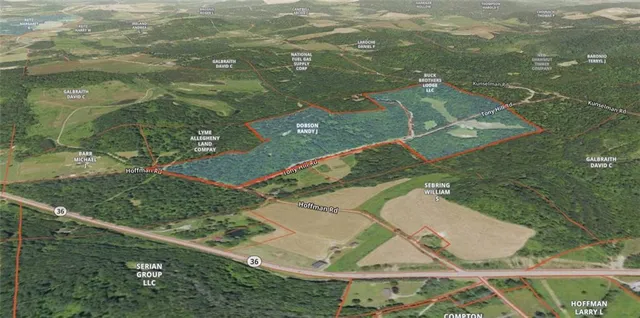 a close up of a plant