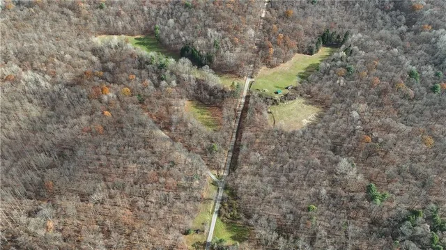 a view of a dry yard with trees and stairs