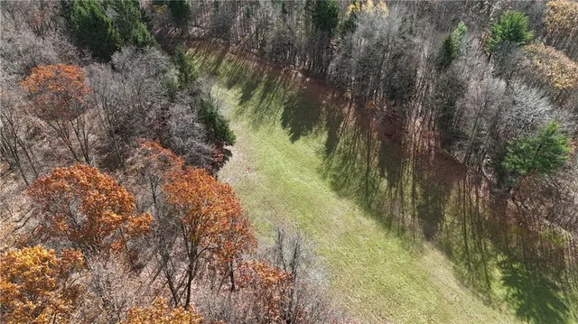a view of a big yard with swimming pool