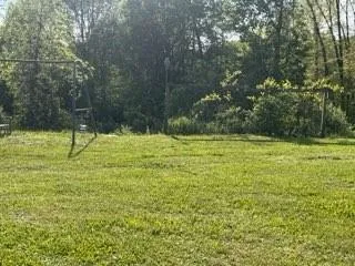 a view of a yard with a tree