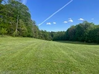 a view of yard with large trees