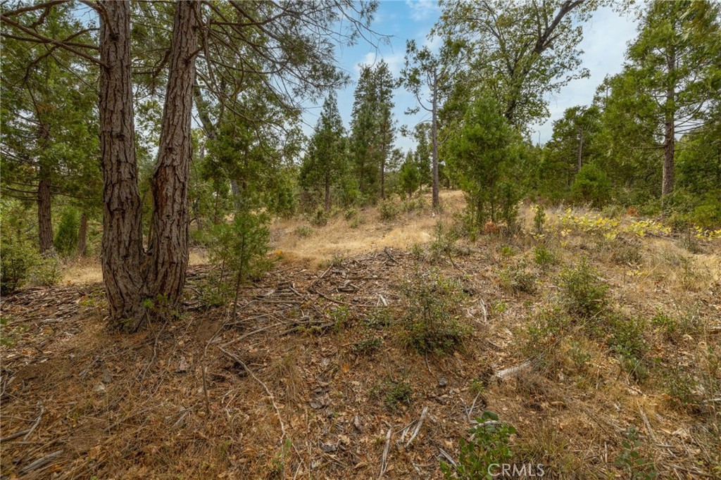 26 Timberview Road North Fork, CA 93643 - Photo 59 of 60