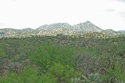 461 East Sun Spring Place Tucson, AZ 85755 - Photo 4 of 10