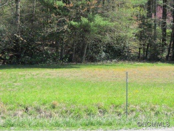 0 Wilson Road Brevard, NC 28712 - Photo 1 of 10 Gallery Image 1