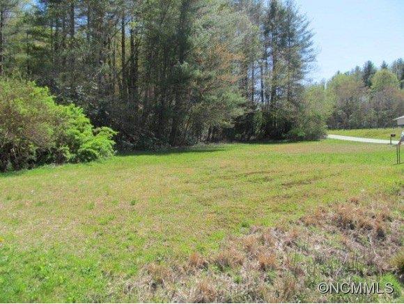 0 Wilson Road Brevard, NC 28712 - Photo 2 of 10 Gallery Image 2