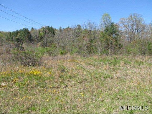 0 Wilson Road Brevard, NC 28712 - Photo 8 of 10 Gallery Image 8