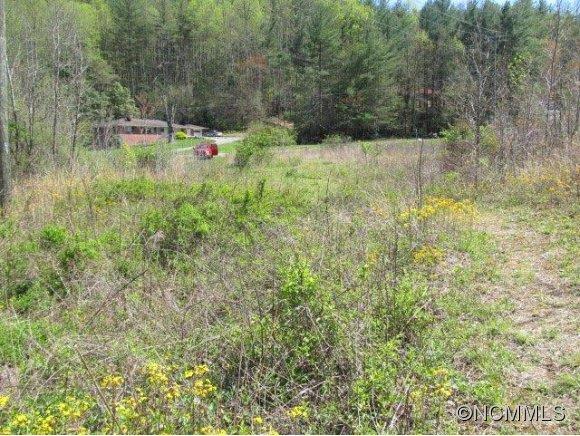 0 Wilson Road Brevard, NC 28712 - Photo 9 of 10 Gallery Image 9