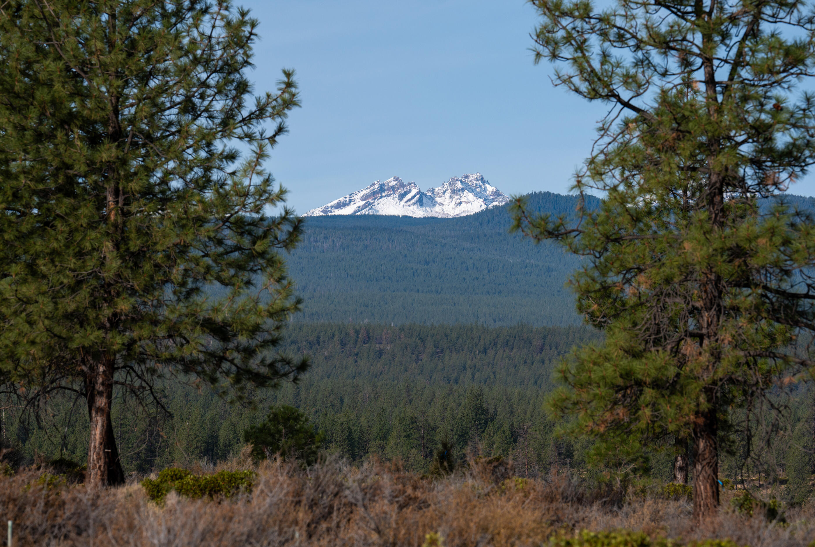 62495 Huntsman Loop Bend, OR 97703 - Photo 8 of 32 08