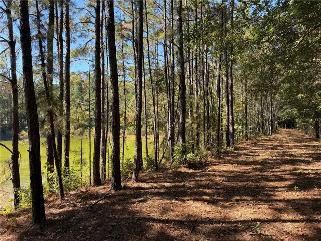 $375,000 | 18750 Keenan Cut Off Road, Montgomery, TX 77316