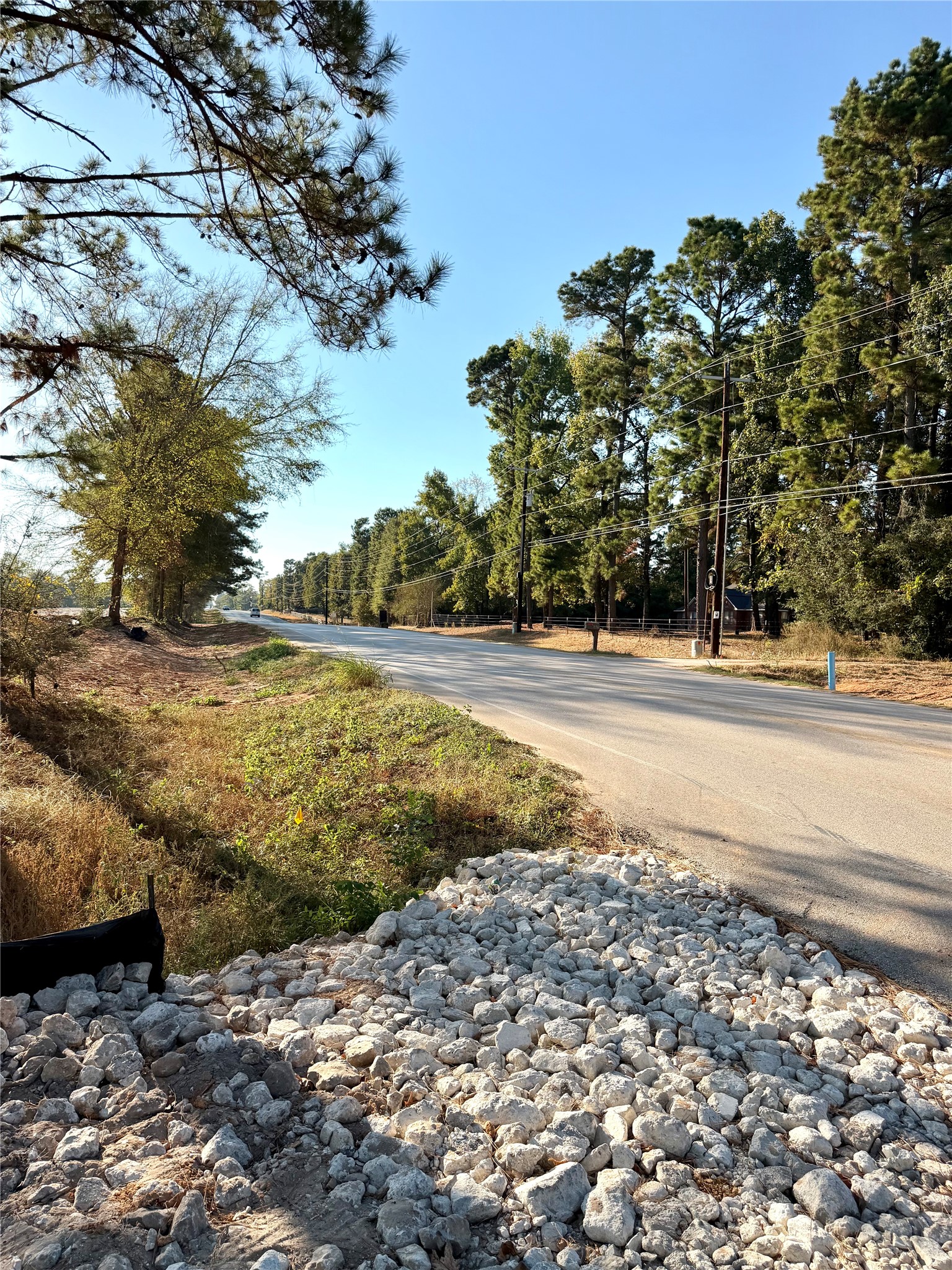 18750 Keenan Cut Off Road Montgomery, TX 77316 - Photo 14 of 43