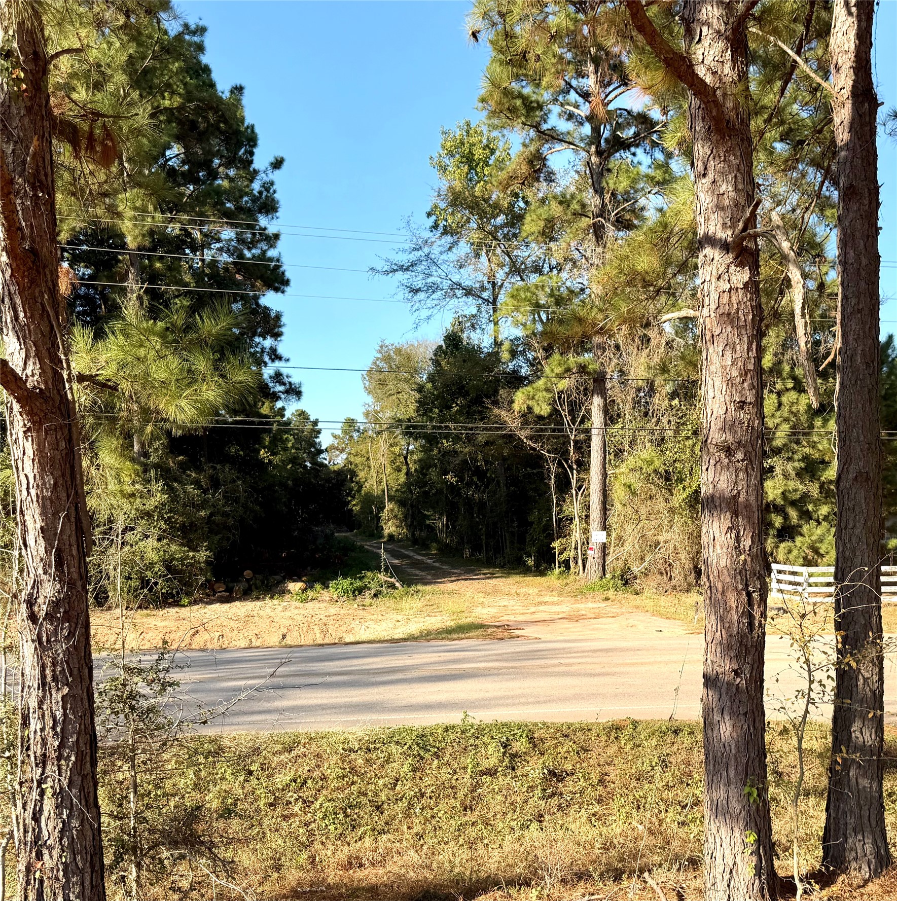 18750 Keenan Cut Off Road Montgomery, TX 77316 - Photo 15 of 43 a view of swimming pool with an outdoor space