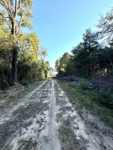 $375,000 | 18750 Keenan Cut Off Road, Montgomery, TX 77316