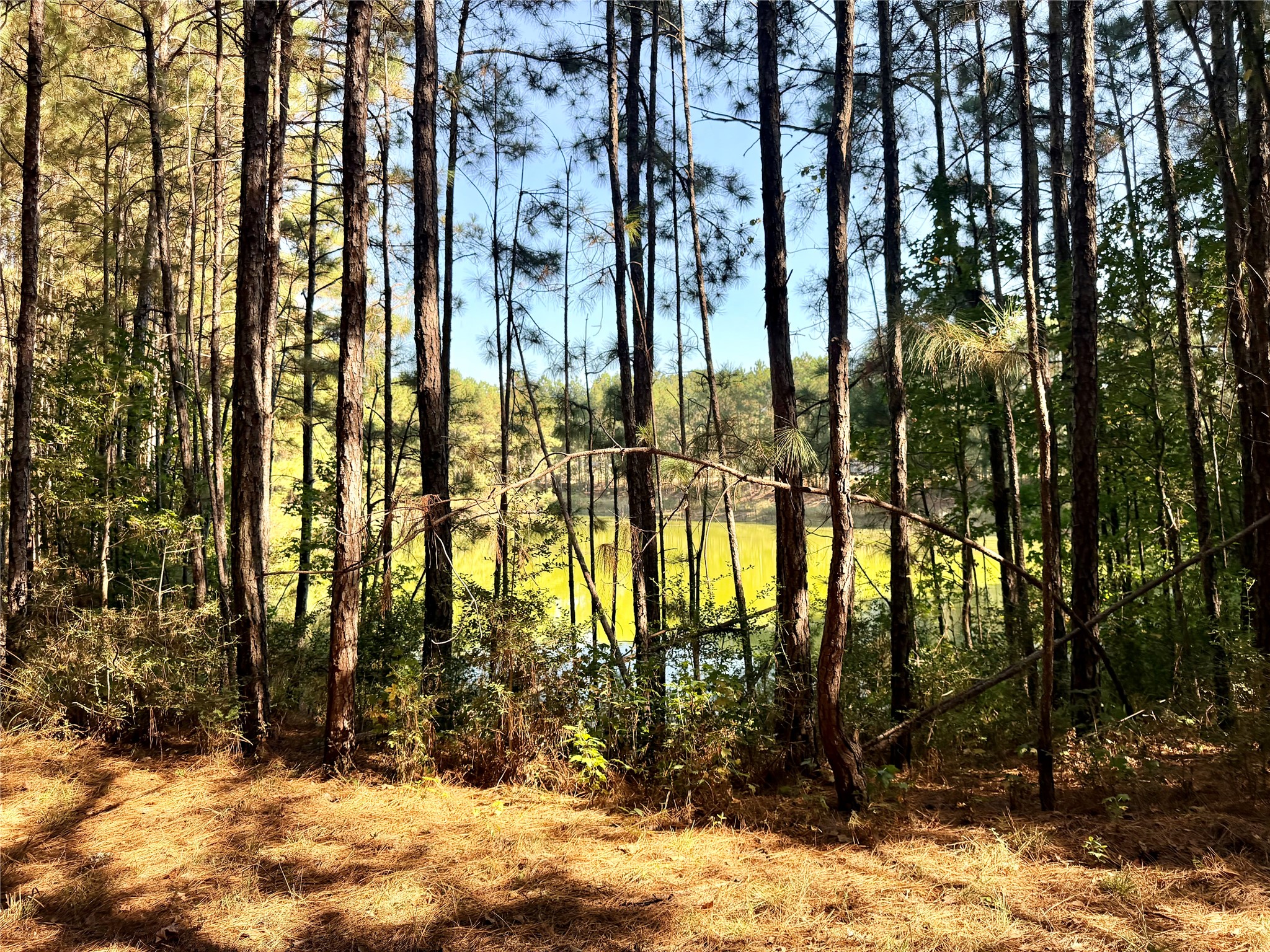 18750 Keenan Cut Off Road Montgomery, TX 77316 - Photo 21 of 43 a view of backyard of the house