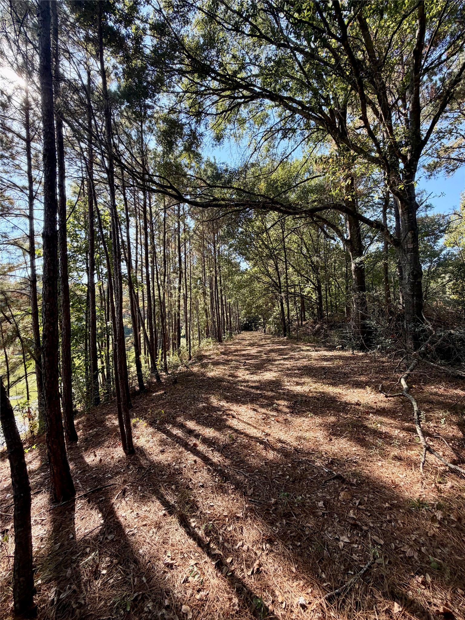 18750 Keenan Cut Off Road Montgomery, TX 77316 - Photo 22 of 43