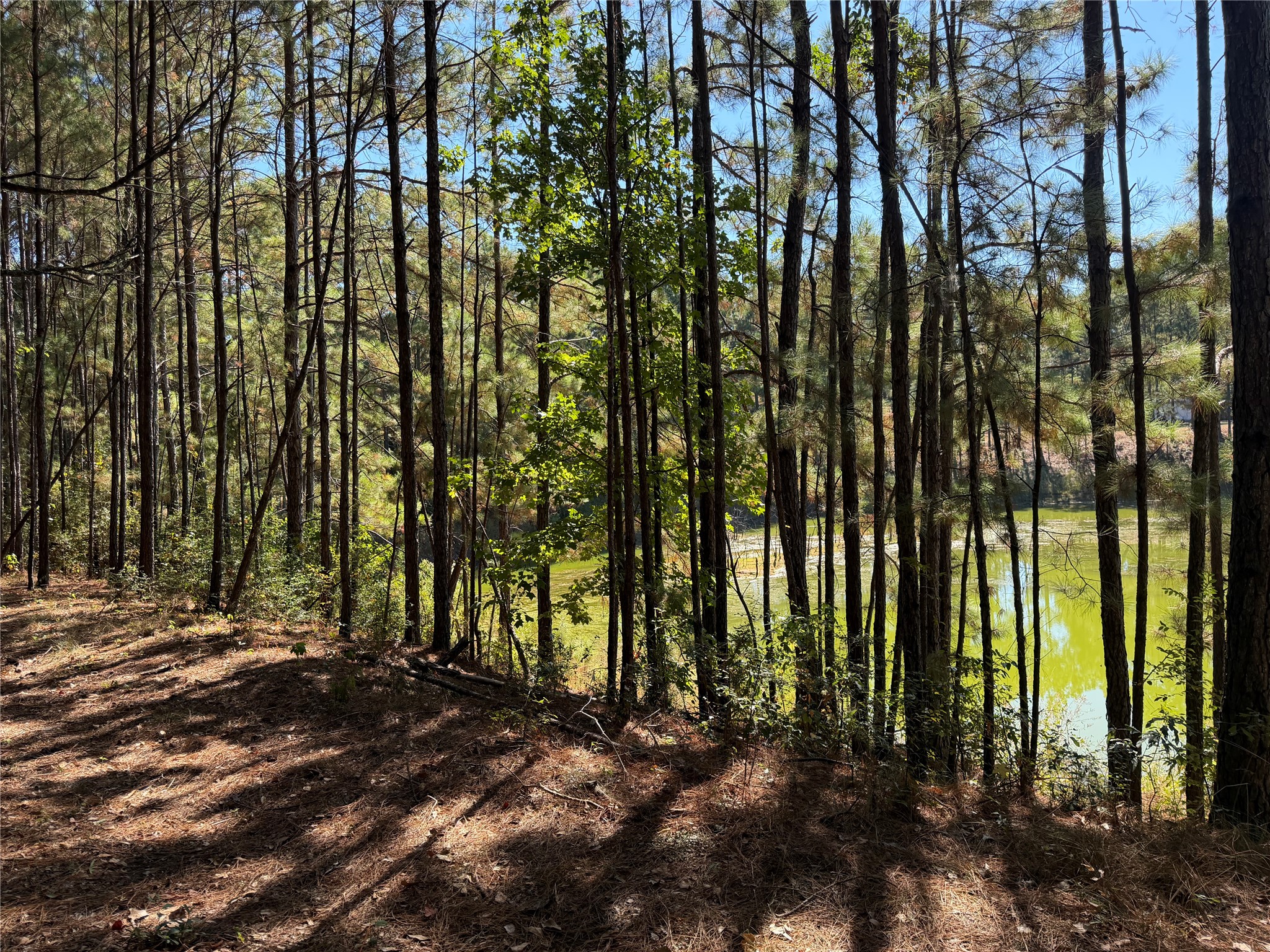 18750 Keenan Cut Off Road Montgomery, TX 77316 - Photo 23 of 43