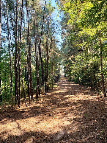 $375,000 | 18750 Keenan Cut Off Road, Montgomery, TX 77316