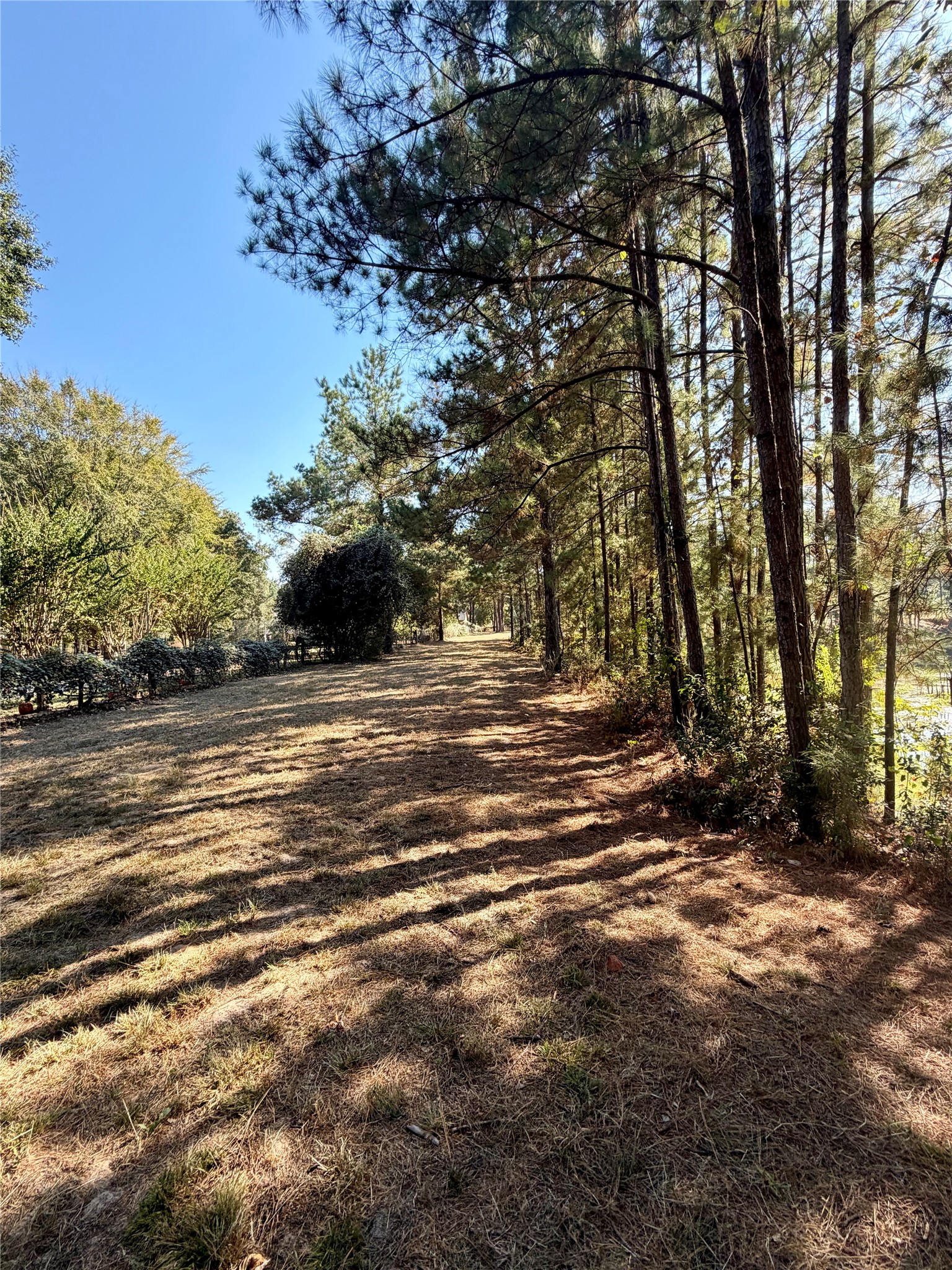 18750 Keenan Cut Off Road Montgomery, TX 77316 - Photo 24 of 43 a view of basketball court