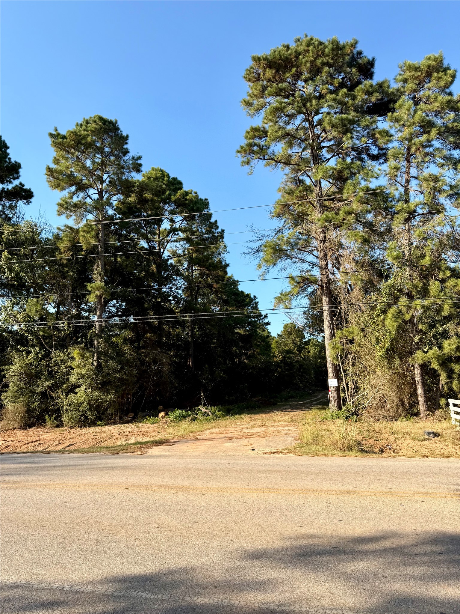 18750 Keenan Cut Off Road Montgomery, TX 77316 - Photo 27 of 43