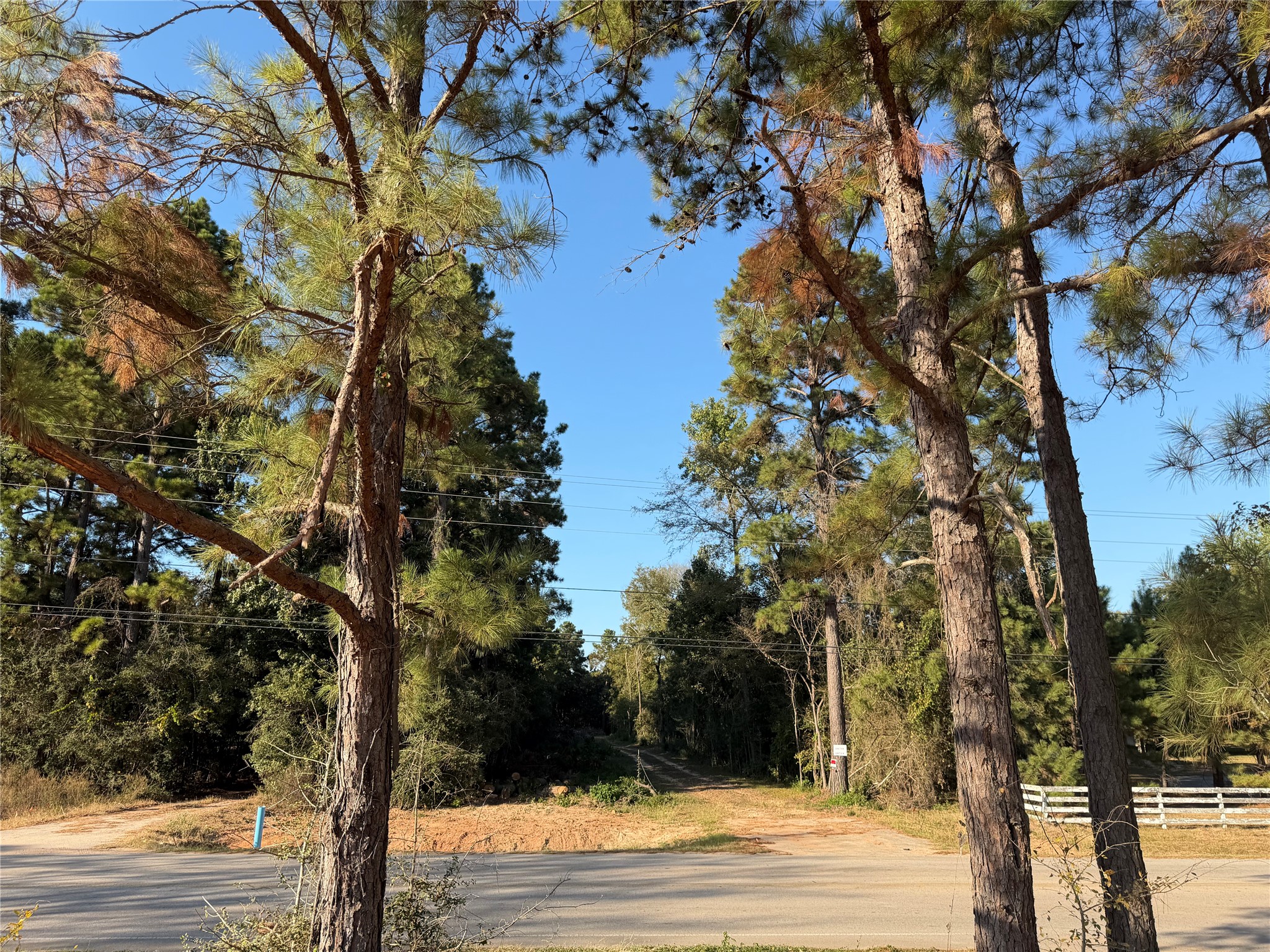 18750 Keenan Cut Off Road Montgomery, TX 77316 - Photo 28 of 43