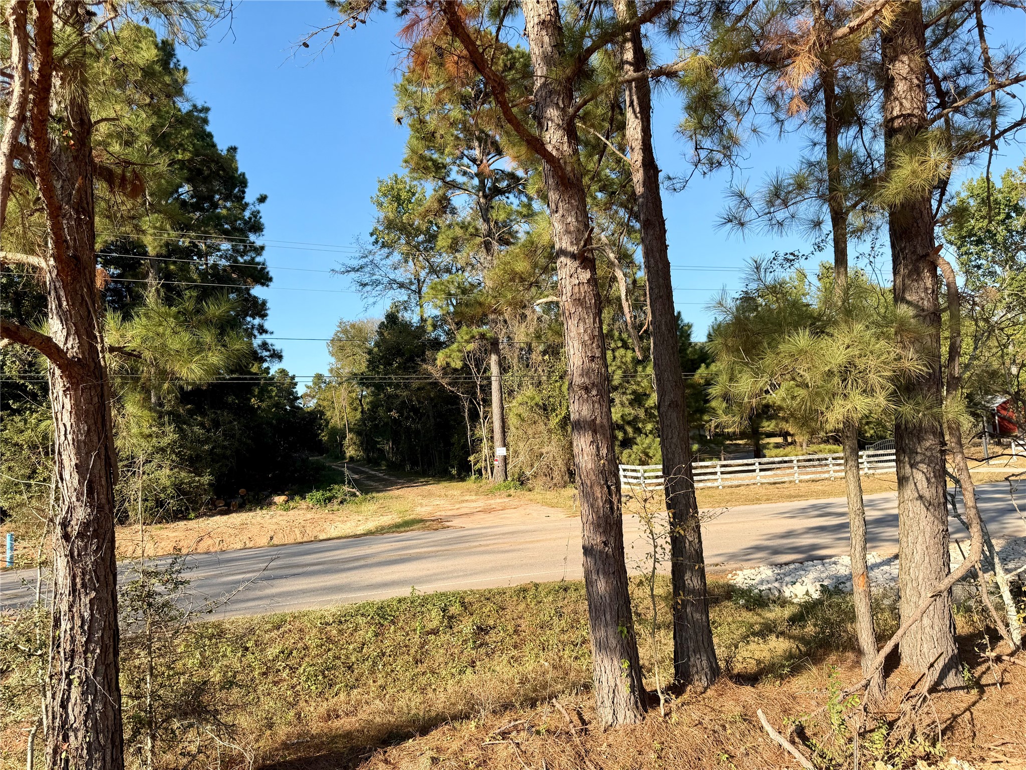 18750 Keenan Cut Off Road Montgomery, TX 77316 - Photo 29 of 43